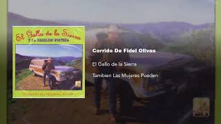 El Gallo de la Sierra  Corrido de Fidel Olivas [upl. by Elletse]