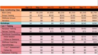 Business Financial Plan  Expense Planning  Revenue Planning  Cash Flow [upl. by Ninon447]