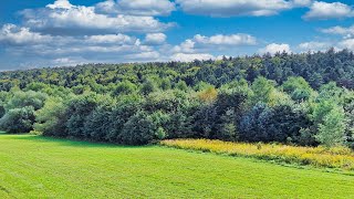 W poszukiwaniu dzikich zwierząt Spotkanie z sarenkami w Ojcowskim Parku Narodowym [upl. by Sukramed]