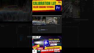 Master Calibration LUTs in Premiere Pro in 60 Seconds 🎨✨ [upl. by Hayidan185]