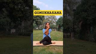 Gomukhasana ytshorts dance motivation dancefitness asan love [upl. by Malony164]