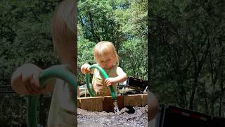 My sweet Maple loves to garden with her mama homestead farmhomelife farmanimals goats [upl. by Eelatsyrc855]