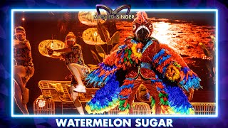 Papegaai  ‘Watermelon Sugar’  Aflevering 2  The Masked Singer  VTM [upl. by Adran]