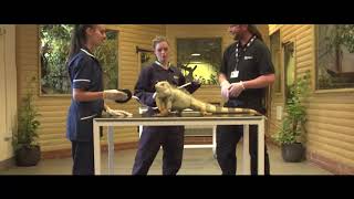 Moulton College  Animal Welfare Courses [upl. by Esta]