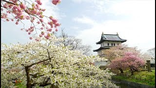 Cebu City’s Little Kyoto Experience Japan 🇯🇵 In Cebu [upl. by Theis218]