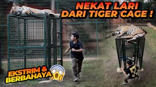 BERANI BANGET  ALSHAD LARI DARI TIGER CAGE  ESHAN JINORA MALAH BEGINI REAKSINYA [upl. by Kragh]