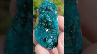 Dioptase Is Still One of My Favorite Green Minerals crystals gems nature rocks minerals [upl. by Rehtul]