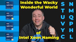 Wonderful World of Intel Xeon Scalable Platinum Gold and Silver Explained [upl. by Valtin]