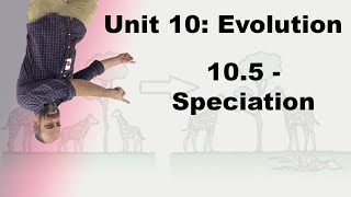 Honors Biology Unit 10  105  Speciation [upl. by Yenffad]