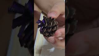 PINE CONES Christmas tree decorations making [upl. by Simsar]