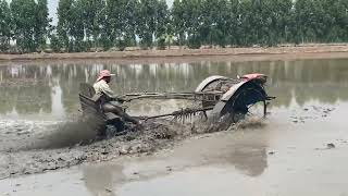 Rice Farming in Thailand  Harrowing The Field [upl. by Harness]