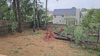 Hurricane Helene 2024 Aftermath Augusta Ga [upl. by Tenney909]