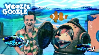 Wie funktioniert ein UBoot l WOOZLE GOOZLE [upl. by Angelica]