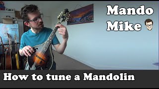 How to tune the mandolin  Mandolin Lesson for Absolute Beginners [upl. by Odnalref]