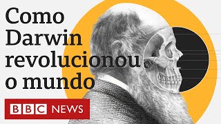 O que é a teoria da evolução de Charles Darwin e o que inspirou suas ideias revolucionárias [upl. by Horgan607]