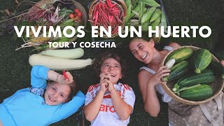 ABUNDANCIA Nuestra Casa es un Huerto Tour y Cosecha en nuestra Huerta Imperfecta huertaencasa [upl. by Nay]