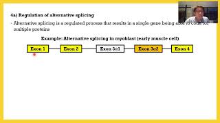 Control Of Eukaryotic Gene Expression 03 Post Transcriptional Control [upl. by Jaquelyn]