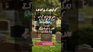 منزل تیری قبر ہے، quotes poetry urdupoetry motivation viralvideo shayari shorts shortvideo [upl. by Myrah]