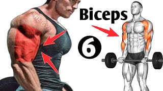 6 Bigger Biceps Exercises At Gym  Biceps Workout [upl. by Faria]