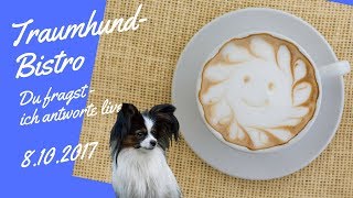 TraumhundBistro vom 8102017 [upl. by Foulk]