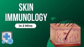 Skin Immunology  In 2 mins [upl. by Neetsirhc207]