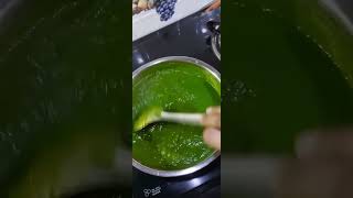 Easy Palak Paneer Masala  Recipezzz  palak panner masala [upl. by Uis]