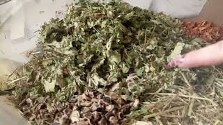 Creating Our New Energy Forage  Guinea Gourmet Treats Ingredient Breakdown [upl. by Bish]