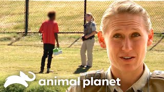 Most Suspenseful Arrest amp Rescue Moments  Lone Star Law  Animal Planet [upl. by Alyehc]