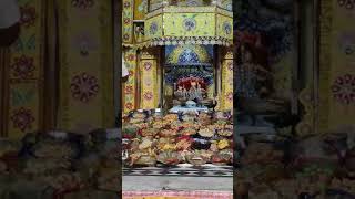 Chappan Bhog in Shri Gorelal Ji ki Kunj Chandiya Utsav 2024 vrindavan [upl. by Aleen]