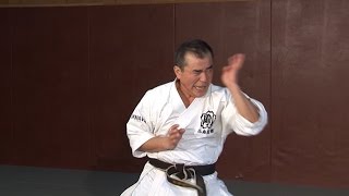 Shisochin  Kata Karate GojuRyu [upl. by Hibbs]