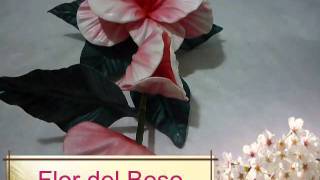 Curso de flores de Goma Eva 2 [upl. by Yorgerg]