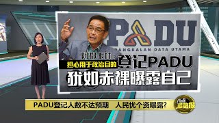 不延长PADU登记期限 拉菲兹：免拖慢针对性补贴落实  八点最热报 23032024 [upl. by Pirozzo]