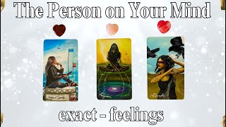 THE  PERSON  on YOUR MIND ExactFeelings ✨ 🤔 timeless Tarot Psychic Reading  Pick a Card [upl. by Backer139]