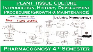 Plant Tissue Culture  Introduction  History amp Development  Growth and their maintenance  L1U3 [upl. by Annoyt]