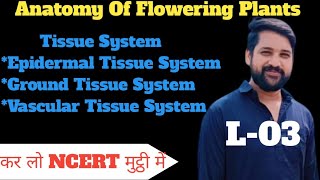 Anatomy Of Flowering Plants Class 11L03Tissue SystemEpidermal Tissue SystemShadab [upl. by Einnij267]