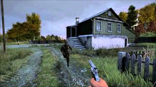 DayZ 047 Ragdoll Physics [upl. by Alian]