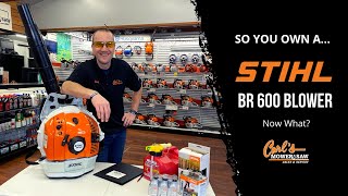 So You Own A Stihl BR 600 Blower [upl. by Oirretno]