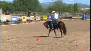 Warm up Drill Recognizing Parts of the Horse [upl. by Warrin]