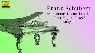 Franz Schubert quotNotturnoquot Piano Trio in E flat major D897 Adagio [upl. by Joash319]