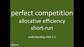 Allocative Efficiency in Perfect Competition  IB Theory of the Firm  Market Power [upl. by Enihpesoj]