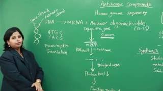 Antisense Compounds [upl. by Aneekat]