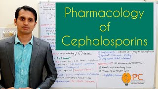 Pharmacology of Cephalosporins Beta Lactams  Cell Wall Synthesis Inhibitors [upl. by Gasper143]