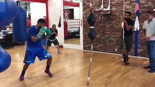 The Fastest Amir Khan Hand Speed Second To None  esnews boxing [upl. by Kerby]