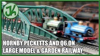 Hornby Pecketts and Q6 on Large Indoor and Garden Railway [upl. by Tomi]