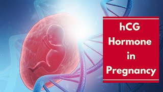 What You Need to Know About hCG Hormone in Pregnancy [upl. by Eelarol]