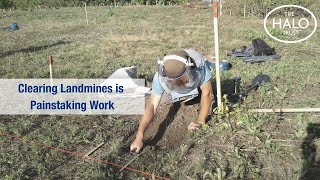 Clearing Landmines is Painstaking Work [upl. by Kenneth40]