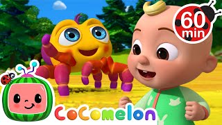 Itsy Bitsy Spider 🕷️  🌈 CoComelon 🌈  Preschool Learning  Moonbug Tiny TV [upl. by Omocaig]