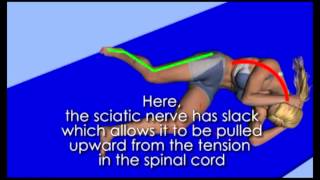 sciatic nerve flossing from Active Spine and Sport [upl. by Hara]