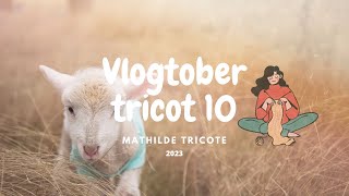 Podcast tricot  VLOGTOBER S1 EP10 [upl. by Nicolea434]