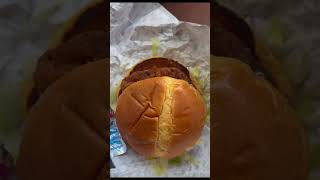 Part1 trying sonic chicken sandwich have you tired do you like it [upl. by Ytirahs]